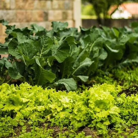 Semesterbostad Casa Fresneda *