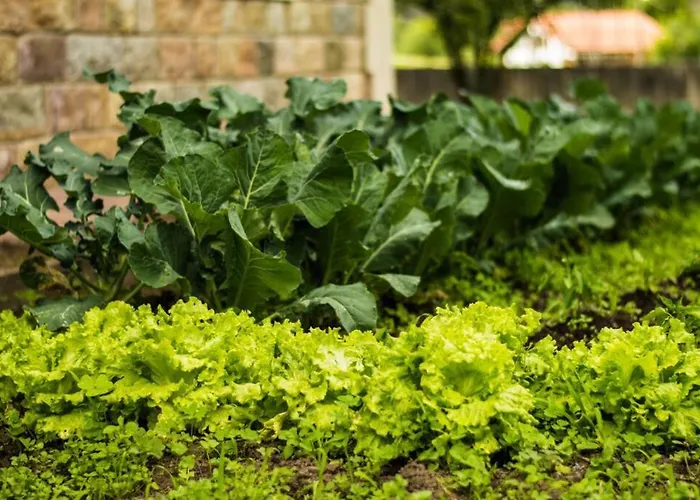 Holiday home Casa Fresneda *